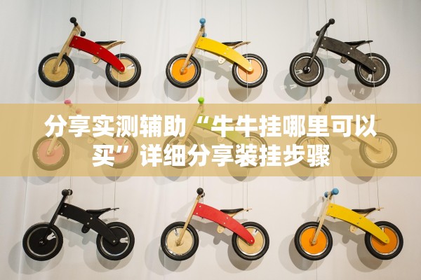 分享实测辅助“牛牛挂哪里可以买	”详细分享装挂步骤