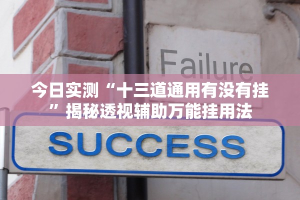 今日实测“十三道通用有没有挂	”揭秘透视辅助万能挂用法