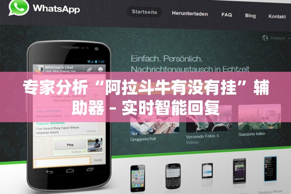 专家分析“阿拉斗牛有没有挂”辅助器 – 实时智能回复