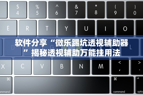 软件分享“微乐踢坑透视辅助器”揭秘透视辅助万能挂用法