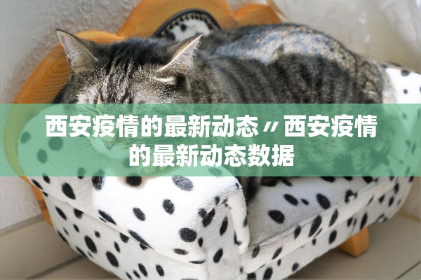 西安疫情的最新动态〃西安疫情的最新动态数据