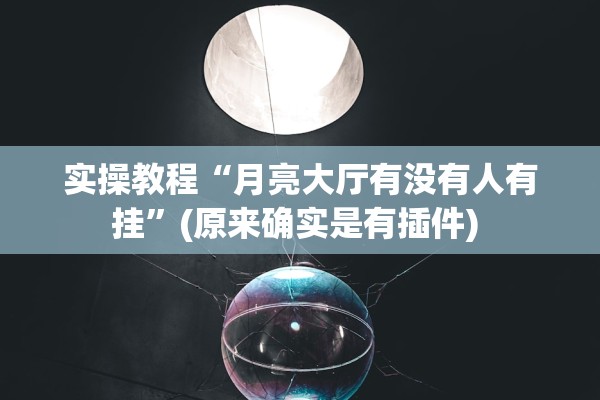 实操教程“月亮大厅有没有人有挂”(原来确实是有插件) 