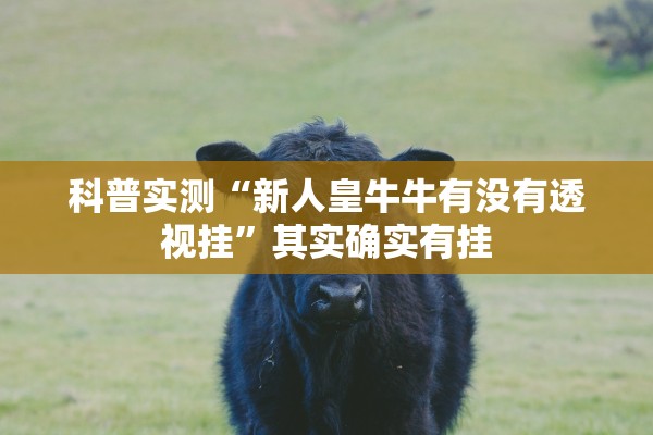 必备科技“九酷副厅有没有透视挂”作弊(透视)透视辅助 