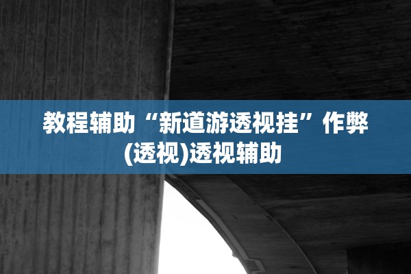 教程辅助“新道游透视挂”作弊(透视)透视辅助 