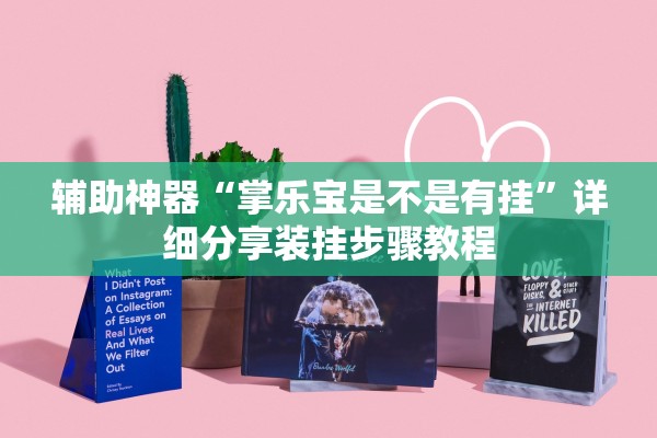 辅助神器“掌乐宝是不是有挂”详细分享装挂步骤教程