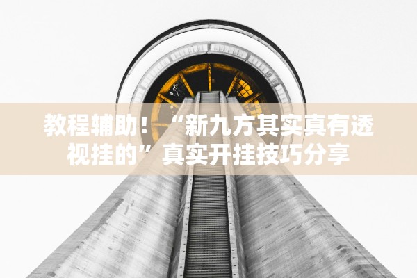 教程辅助！“新九方其实真有透视挂的	”真实开挂技巧分享