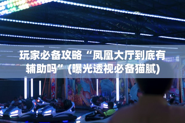 玩家必备攻略“凤凰大厅到底有辅助吗”(曝光透视必备猫腻)