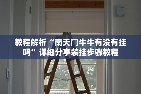 教程解析“南天门牛牛有没有挂吗”详细分享装挂步骤教程