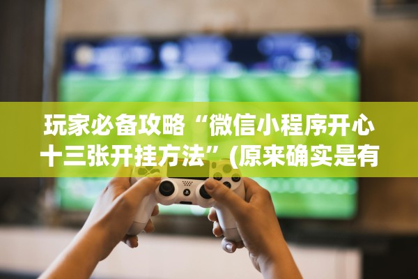 玩家必备攻略“微信小程序开心十三张开挂方法”(原来确实是有插件) 