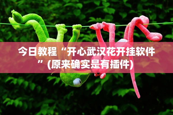 今日教程“开心武汉花开挂软件”(原来确实是有插件) 