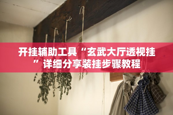 开挂辅助工具“玄武大厅透视挂”详细分享装挂步骤教程