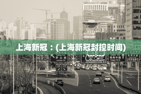 美国累计病例破百-美国累计确诊病例超2056万