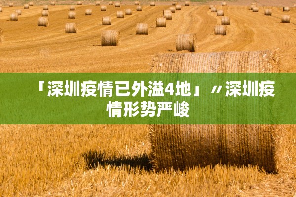 31省区市新增3例境外输入︰(31省区市新增8例境外输入)