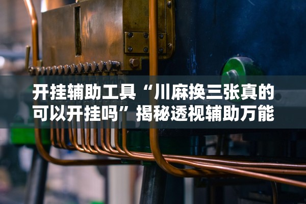 开挂辅助工具“川麻换三张真的可以开挂吗”揭秘透视辅助万能挂用法