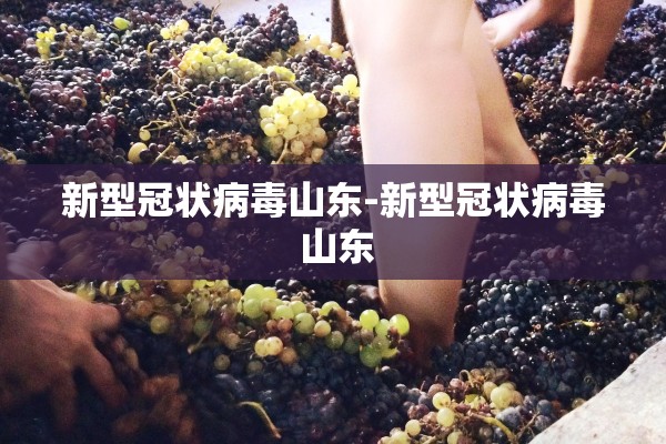 新型冠状病毒山东-新型冠状病毒 山东