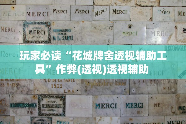 玩家必读“花城牌舍透视辅助工具	”作弊(透视)透视辅助 