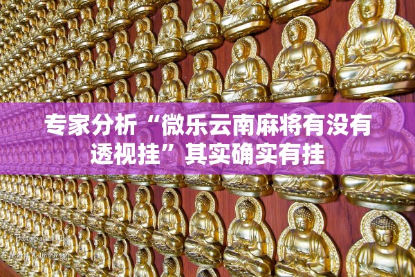 专家分析“微乐云南麻将有没有透视挂”其实确实有挂