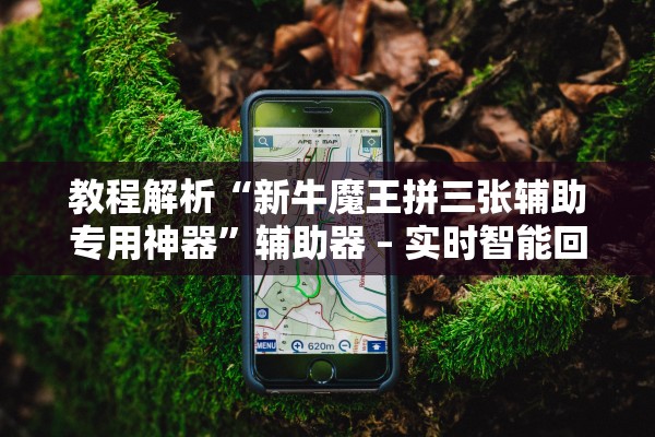 教程解析“新牛魔王拼三张辅助专用神器”辅助器 – 实时智能回复