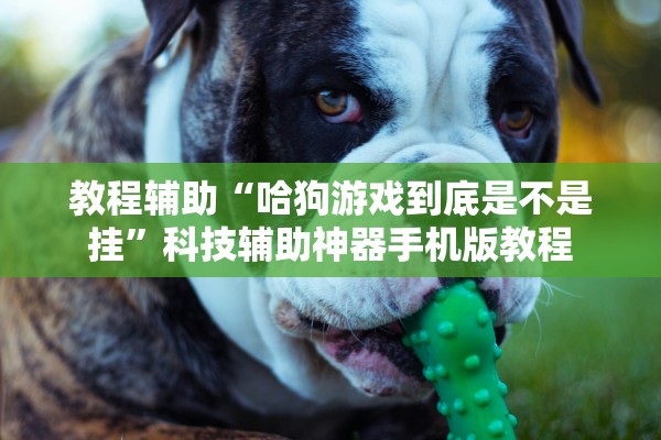 教程辅助“哈狗游戏到底是不是挂”科技辅助神器手机版教程