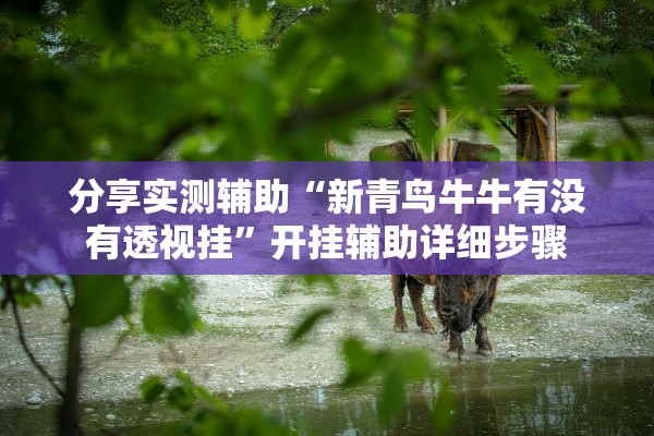 分享实测辅助“新青鸟牛牛有没有透视挂”开挂辅助详细步骤