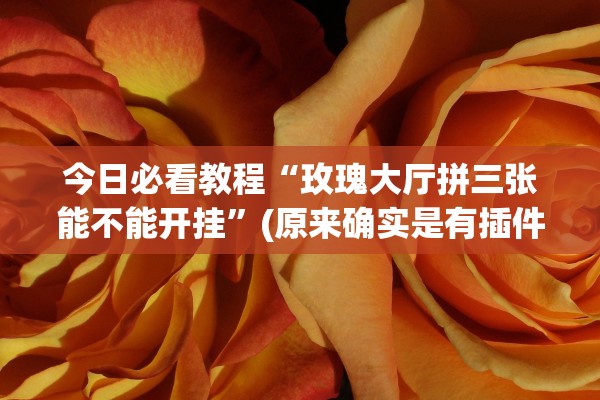 今日必看教程“玫瑰大厅拼三张能不能开挂	”(原来确实是有插件) 