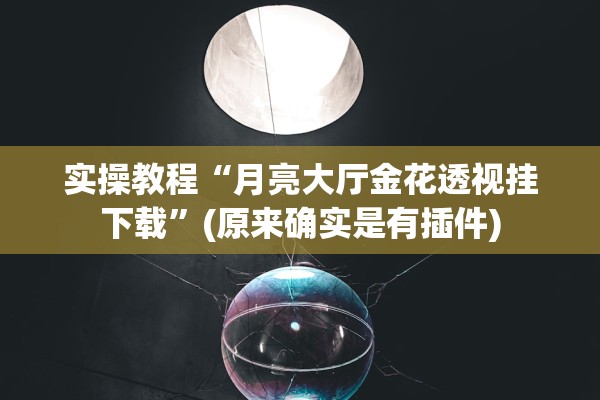 实操教程“月亮大厅金花透视挂下载	”(原来确实是有插件)