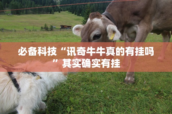 必备科技“讯奇牛牛真的有挂吗	”其实确实有挂