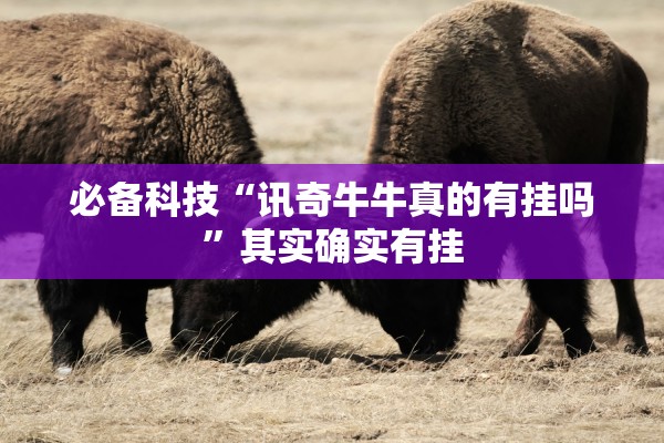 必备科技“讯奇牛牛真的有挂吗”其实确实有挂
