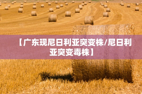 【广东现尼日利亚突变株/尼日利亚突变毒株】