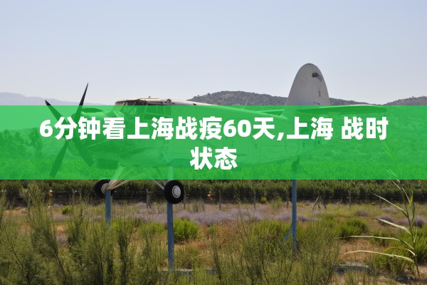 6分钟看上海战疫60天,上海 战时状态