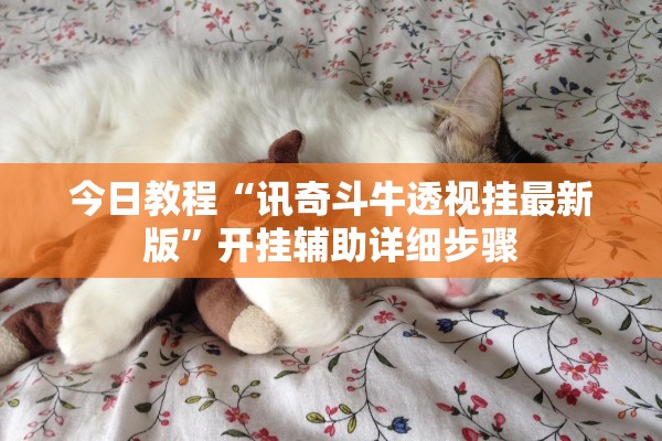 今日教程“讯奇斗牛透视挂最新版”开挂辅助详细步骤