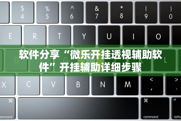 软件分享“微乐开挂透视辅助软件”开挂辅助详细步骤
