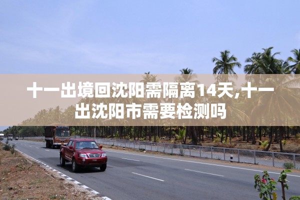 十一出境回沈阳需隔离14天,十一出沈阳市需要检测吗