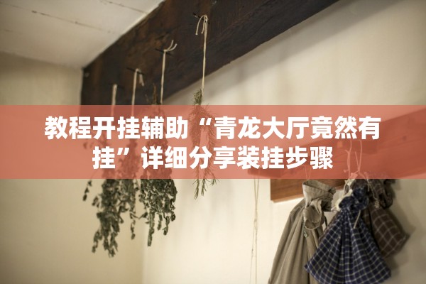 教程开挂辅助“青龙大厅竟然有挂”详细分享装挂步骤