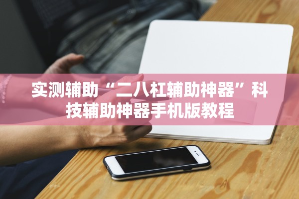 实测辅助“二八杠辅助神器”科技辅助神器手机版教程
