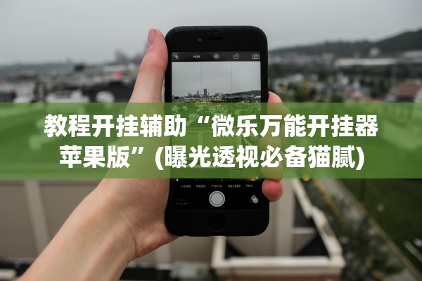 教程开挂辅助“微乐万能开挂器苹果版”(曝光透视必备猫腻)