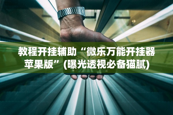 教程开挂辅助“微乐万能开挂器苹果版”(曝光透视必备猫腻)