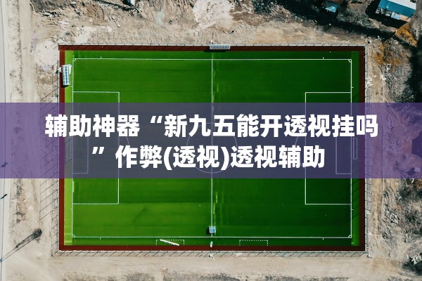 辅助神器“新九五能开透视挂吗”作弊(透视)透视辅助 