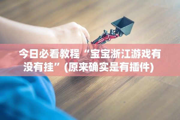 今日必看教程“宝宝浙江游戏有没有挂”(原来确实是有插件) 