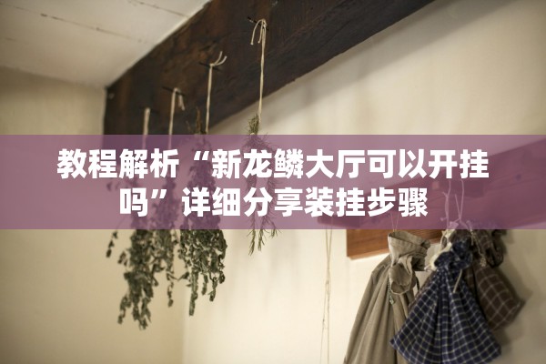 教程解析“新龙鳞大厅可以开挂吗	”详细分享装挂步骤