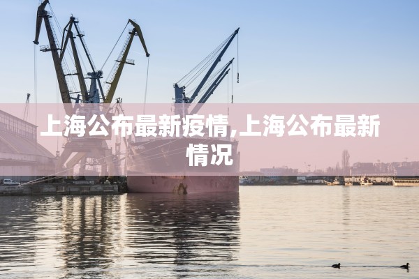 上海公布最新疫情,上海公布最新情况