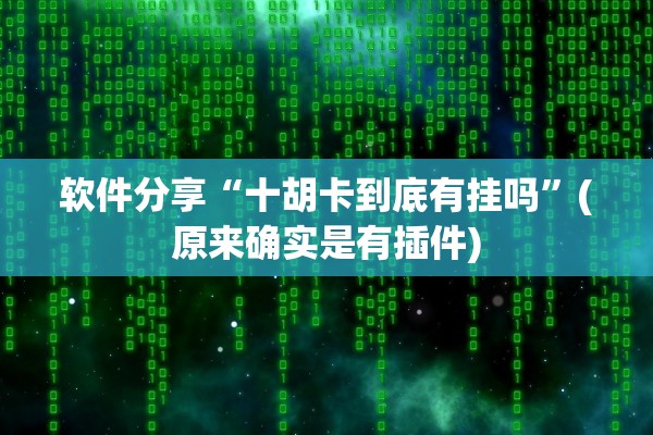 软件分享“十胡卡到底有挂吗”(原来确实是有插件)