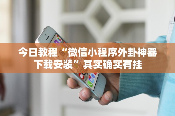 今日教程“微信小程序外卦神器下载安装”其实确实有挂