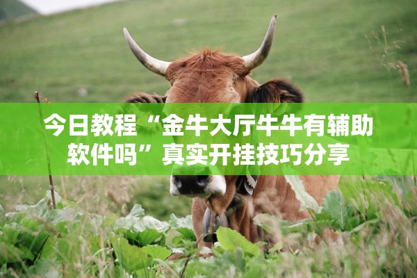 教程辅助“微乐跑得快挂开挂教程”其实确实有挂