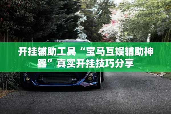 开挂辅助工具“宝马互娱辅助神器”真实开挂技巧分享