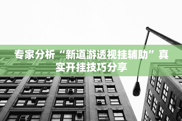 专家分析“新道游透视挂辅助”真实开挂技巧分享