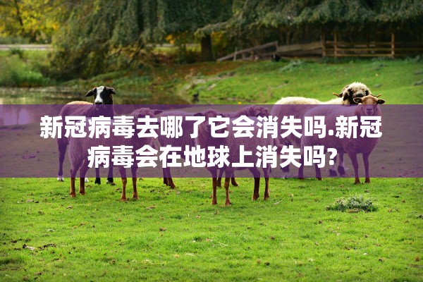 新冠病毒去哪了它会消失吗.新冠病毒会在地球上消失吗?