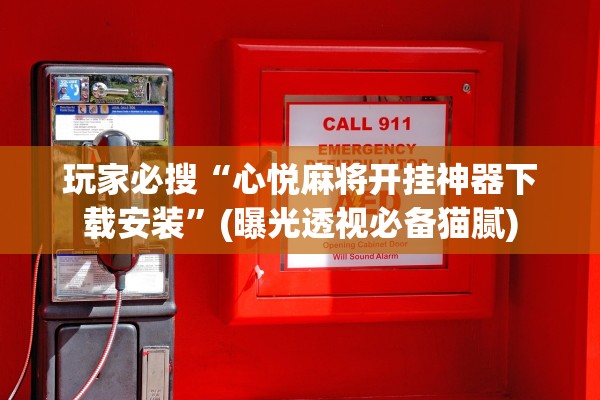 玩家必搜“心悦麻将开挂神器下载安装”(曝光透视必备猫腻)