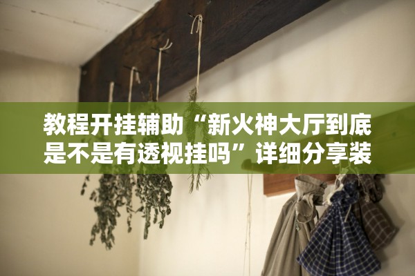 教程开挂辅助“新火神大厅到底是不是有透视挂吗”详细分享装挂步骤教程