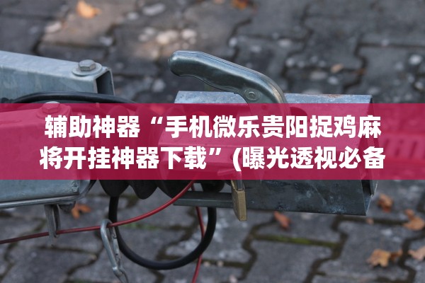 辅助神器“手机微乐贵阳捉鸡麻将开挂神器下载”(曝光透视必备猫腻)